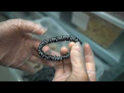 Dark Grey Silk Scrunchie Skinny